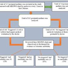 Flow Chart Of Result Summary Tp True Positive Fp False