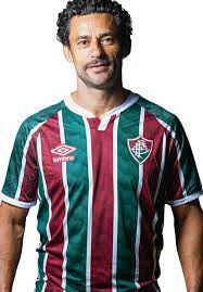 Clique em veja mais para conferir as fotos sensuais do gato. Fred Fluminense Football Club