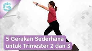 5 Gerakan Olahraga Mudah Untuk Ibu Hamil Trimester 2 3 Adianti Reksoprodjo Youtube