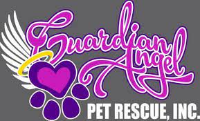 The guardian angel is a legendary pet in bubble gum simulator. Pets For Adoption At Guardian Angel Pet Rescue Inc In Calimesa Ca Petfinder