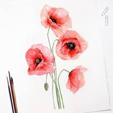 Victoria Ryabinina Poppies Poppy Flower Painting Poppy Flower Drawing Watercolor Poppies