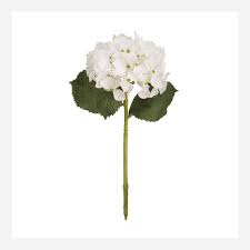 Check spelling or type a new query. Sia Green Shop Artificial Pink White Hydrangea 50cm Habitat