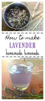 Pin On Homesteading For Beginners