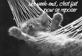 Bon Week End Autour Du Hijab Cats Kittens Cutest Cat Nap