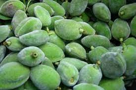 Check spelling or type a new query. ØªÙØ³ÙŠØ± Ø­Ù„Ù… ÙˆØ±Ø¤ÙŠØ© Ø§Ù„Ù„ÙˆØ² Ø§Ù„Ø§Ø®Ø¶Ø± ÙÙŠ Ù…Ù†Ø§Ù… Ø§Ù„Ø¨Ù†Øª Ø§Ù„Ø¹Ø²Ø¨Ø§Ø¡ Ø§Ù„ØºÙŠØ± Ù…ØªØ²ÙˆØ¬Ø© Ø±Ø¤ÙŠØ© Ø§Ù„Ù„ÙˆØ² Ø§Ù„Ø§Ø®Ø¶Ø± Ø¨Ù…Ù†Ø§Ù… Ø§Ù„Ø¹Ø²Ø¨Ø§Ø¡