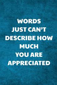 Instead, oxford languages assigned words of the year to the months in which they reached their peak frequency of usage. Words Just Can T Describe How Much You Are Appreciated Employee Appreciation Gift C G Maynard Thelma 9798682628414 Amazon Com Books