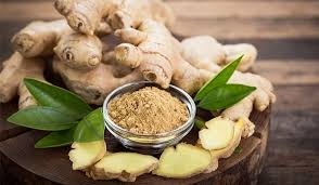 Image result for Ginger