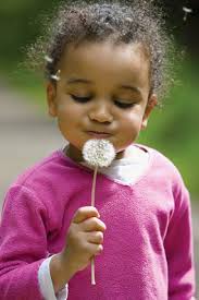 Annual Report 2010-2011