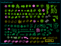 Trees & plants cad blocks fo format dwg. Pin On Autocad