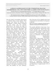 Image result for Hubbardochloa gracilis