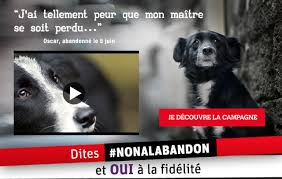 Un ami part et un autre arrive et nous redonne la joie de vivre. 30 Millions D Amis Et La Campagne 2018 Remarquable Contre L Abandon Des Animaux Exprimeo Fr