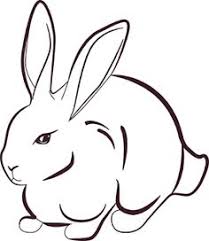  9 Ide Sketsa Sketsa Gambar Hewan Gambar Kelinci