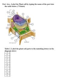 We did not find results for: Part Two Label The Plant Cell By Typing The Name Of Chegg Com