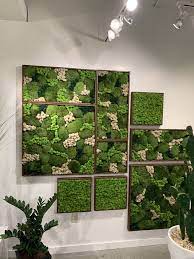 Common american swan art print, audubon wall art. Nature Inspired Wall Art Nature Inspiration Artistic Lighting Geometric Shapes