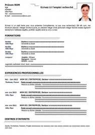 Ce modèle de cv à remplir classique est pensé principalement pour les étudiants. Exemple De Cv A Remplir Gratuit Au Format Word Cv Word