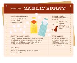 Use a biodegradable liquid soap (such as murphy's oil soap, castile soap, or mrs. Pesticide Free Gardening Fix Com