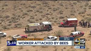 Amera sun city pest control. Affordable Residential Bee Hive Removal Service Phoenix Az Commercial Bee Pest Control Company Scottsdale Az A S A P Bee Removal
