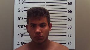 Woman hit by vehicle in yard dies, driver charged with murder