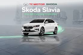 Image result for Carbon Steel 2025 Slavia