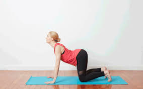 11 Yoga For Hair Fall Control And Regrowth Hair Faster Best Beauty Lifestyle Blog In 2020 Cow Pose Easy Yoga Poses Pilates Workout