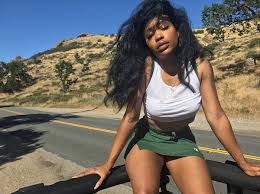 Sza Ctrl Hits No 3 On Billboard 200 Daze Summit