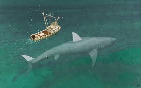 Despite the ardent efforts of nature conservancy activists to rebrand them as the gentle giants of the sea, moviegoers have long been convinced that sharks are ruthless killing. Shark Fact Of The Day Megalodon S Position At The Top Of The Food Chain