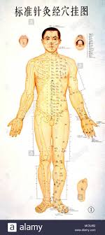 Chi Lines Chi Lines Marked Out On The Human Body As An