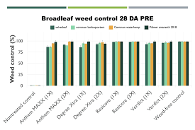 weed control and response of yellow and white popcorn