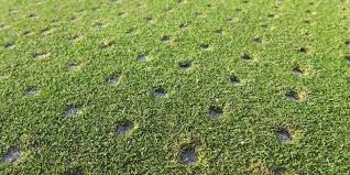 Maybe you would like to learn more about one of these? 10 Signs It S Time To Aerate Seed Your Lawn The Green Team