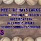 Meet the Hays Larks