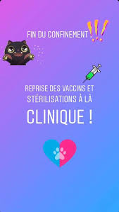 Pensez A Clinique Veterinaire Des Quais De La Loire Facebook
