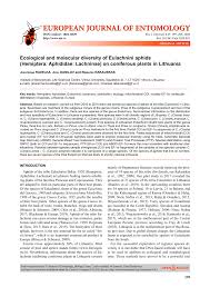 5.241 lavori disponibili a roma eur, lazio su indeed.com. Pdf Ecological And Molecular Diversity Of Eulachnini Aphids Hemiptera Aphididae Lachninae On Coniferous Plants In Lithuania