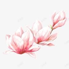 春季踏青春天的花朵高清素材出游春天的花朵春季踏青春日踏青春日郊游春游春游美景游玩远in 2021