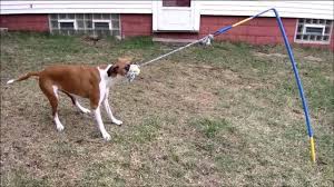 South paw's doberman diy tether toy tutorial. Tether Tug The Best Interactive Dog Toy Youtube