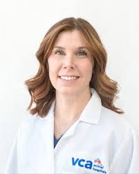 VCA South Shore (Weymouth)