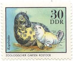 Briefmarken Ddr 1975 Zoologischer Garten Rostock Briefmarke Kegelrobbe German Stamps Stamp Old Stamps