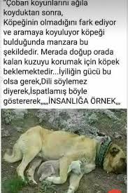 Tulay Adli Kullanicinin Begendigim Sozler Panosundaki Pin Hayvan Sozleri Hayvan Haklari Hayvan
