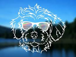 смотреть человек паук возвращение домой в хорошем качестве бесплатно Maltipoo Decal Dog Vinyl Decal Car Decal Bumper Sticker Car Decals Vinyl Vinyl Decals Bumper Stickers