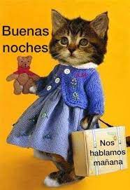 Pin En Frases Motivadoras