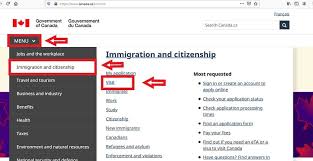 Canada Visa From Zimbabwe How To Apply For Canada Visitor Visa Application And Requirements Guide Visa Reservation