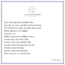 A Beautiful Poem About How Many Animals Are Faced With The Threat Of Extinction Help Us In Our Efforts T Animal Poems Endangered Animals Animal Conservation