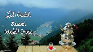 حنيذ جنوبي Hd Youtube