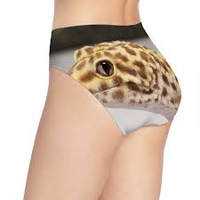 Womens Leopard Gecko Brief Panty Plus Comfort Bikini