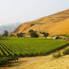 Sculpterra winery and sculpture garden. Best Paso Robles Wineries To Visit Food Wine