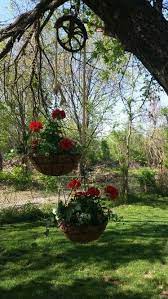 4.7 out of 5 stars. Hanging Baskets That We Hung From A Tree With An Old Rope And Pulley Modern Design Backyard Fence Decor Hanging Baskets Hanging Flower Baskets
