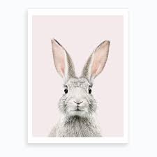 It looks like the butterfly is about to land on his nose :) is this what the easter bunny is doing when he's not delivering all over the world? Bunny Face Blush Art Print By Sisi And Seb Fy