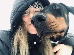 Find de sødeste hundehvalpe og hunde til salg blandt 400 annoncer. Hunde Blog Dogness
