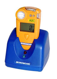 Use the test/silence button to quiet the. Gasman Co Detector Carbon Monoxide 0 500 Ppm Disposable Battery Products Chromservis Eu