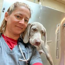 THE BEST 10 Veterinarians near PATTON, MO
