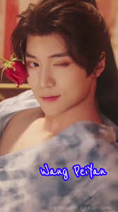 Wang PeiYan: Descubre a mi actor chino favorito